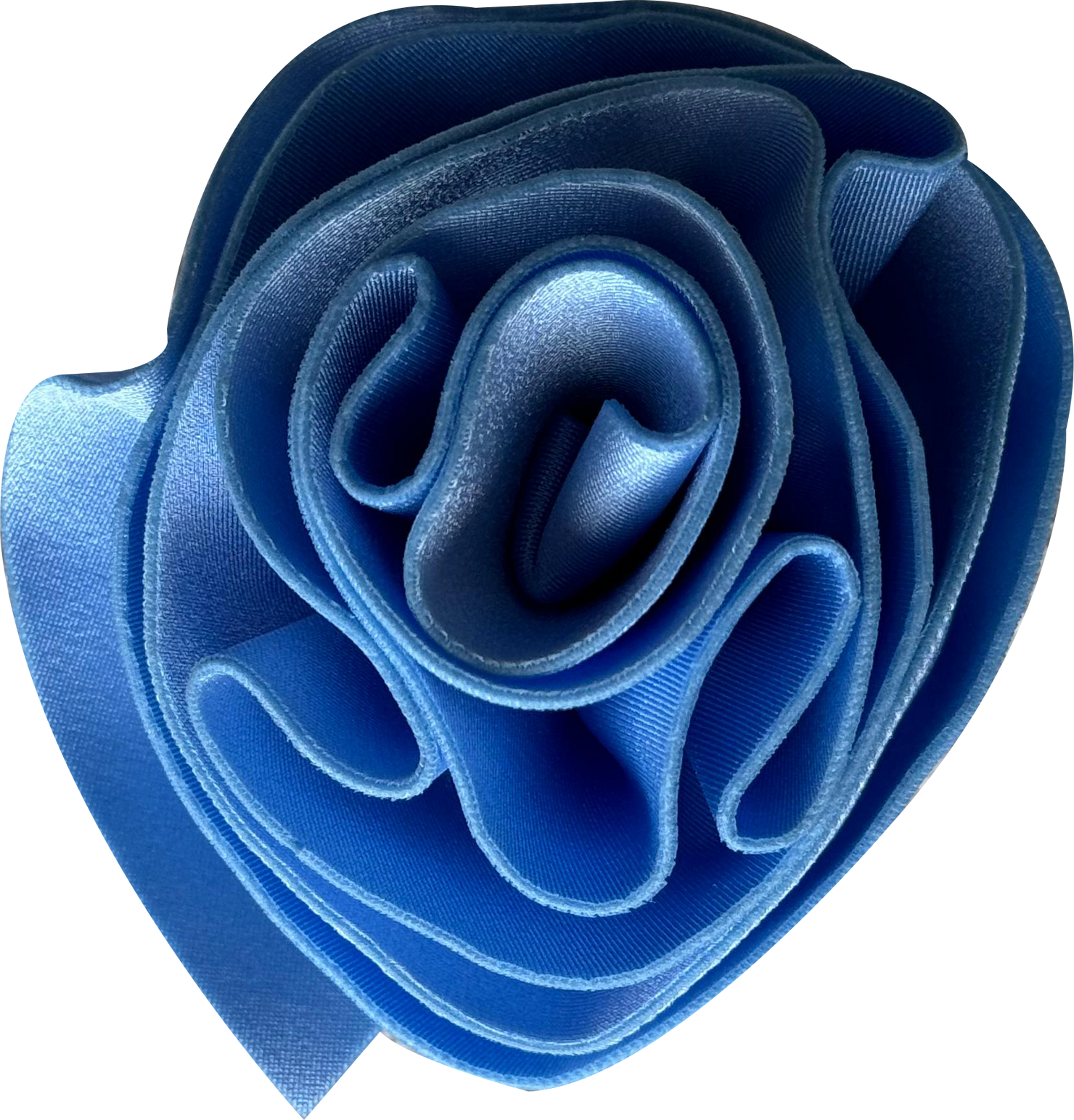 BABY BLUE ROSE